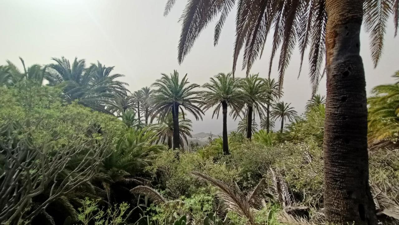 Alquilaencanarias Casa La Playa La Gomera Alojera Exterior photo